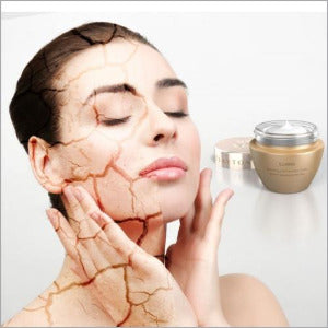 Clayton Shagal Illumine Cream 50ml